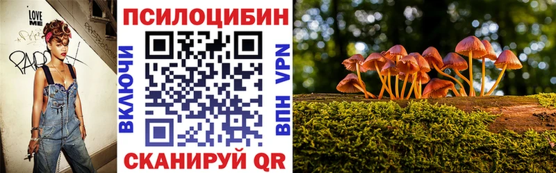 Галлюциногенные грибы мухоморы  дарнет шоп  даркнет клад  Никольское  ОМГ ОМГ онион 