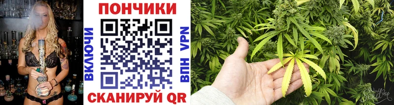 Марихуана Bruce Banner  купить закладку  Никольское 